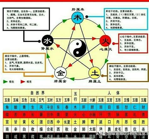 金木水火土月份|五行查询 金木水火土五行查询表出生年月日